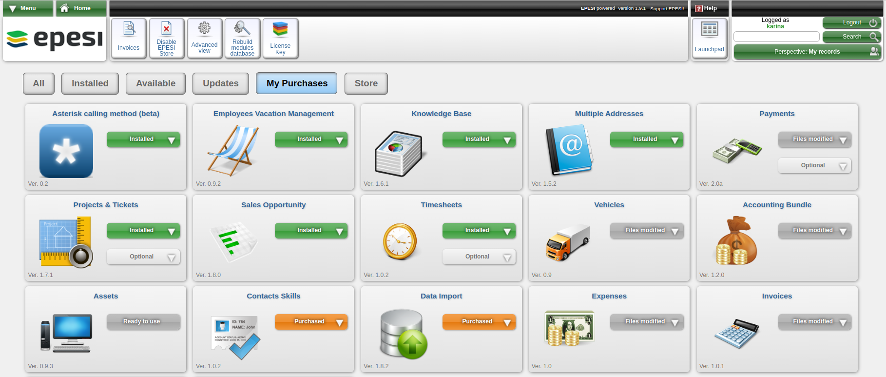 epesi-store-dashboard epesi-store-dashboard